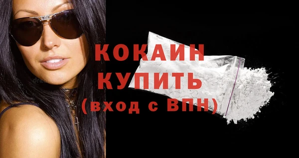 шишки Ельня