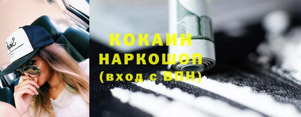 шишки Ельня