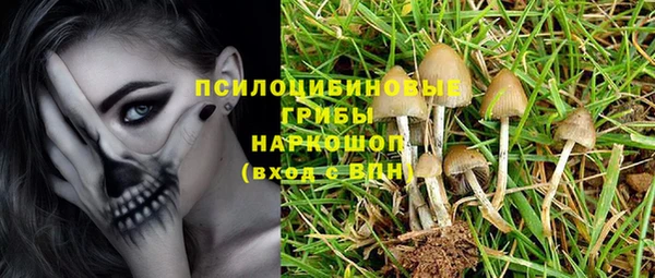 крисы Елизово