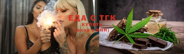 шишки Ельня