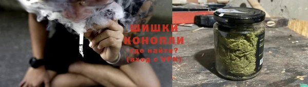 шишки Ельня