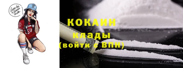 шишки Ельня