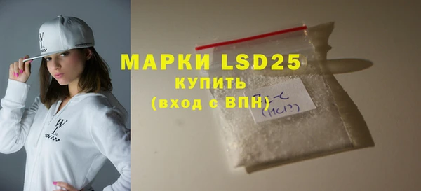 шишки Ельня