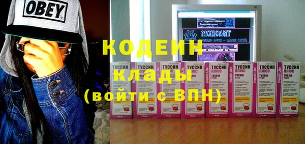 шишки Ельня