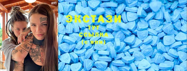 шишки Ельня