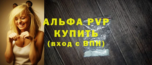шишки Ельня