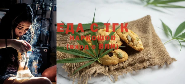 шишки Ельня