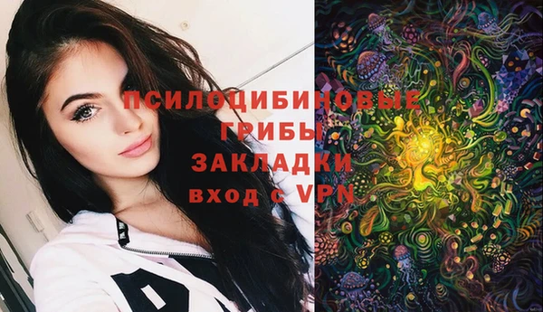 шишки Ельня