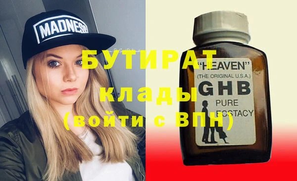 шишки Ельня