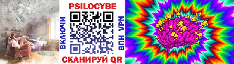 Купить  Унеча  Псилоцибиновые грибы GOLDEN TEACHER 